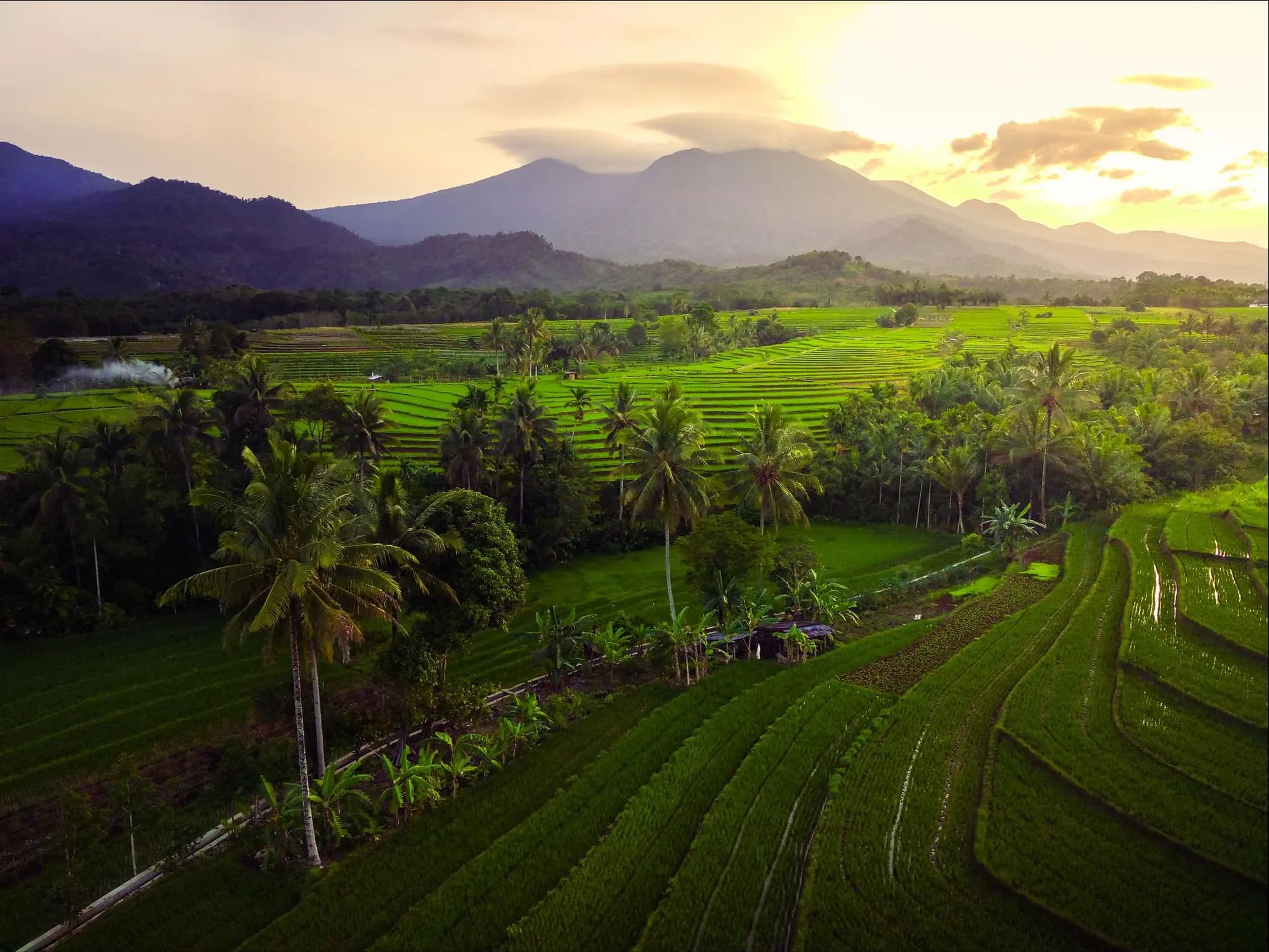 Indonesia Food Security Age of Intelligence